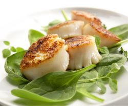 Food dressed on a plate